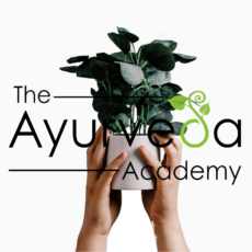 Ayurvedic Lifestyle Advisor Fast‑Track Bundle